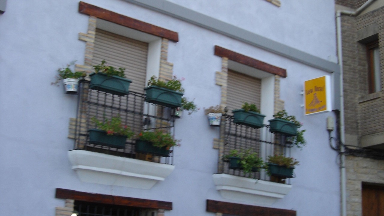 Photo of Outdoor in Arguedas