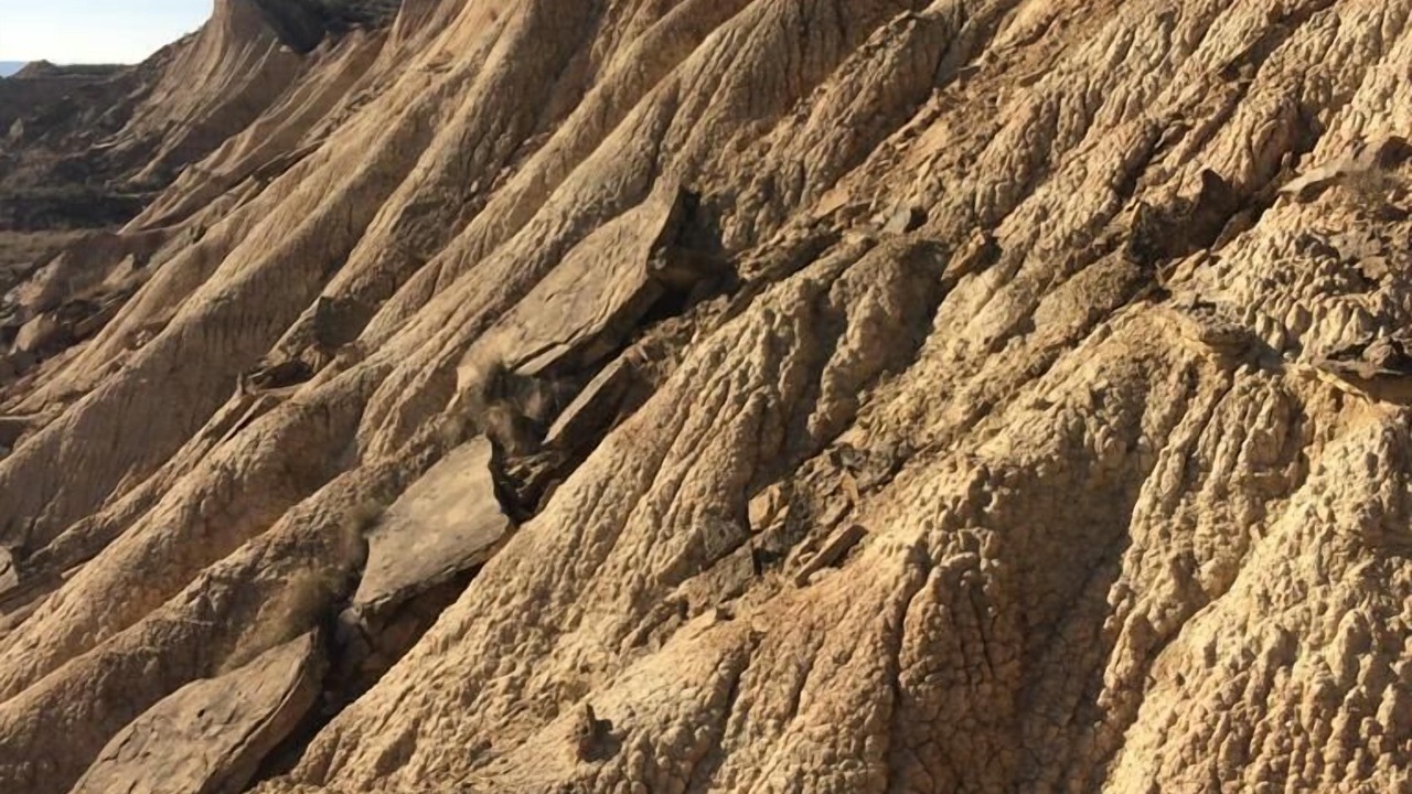 Photo of Outdoor in Arguedas