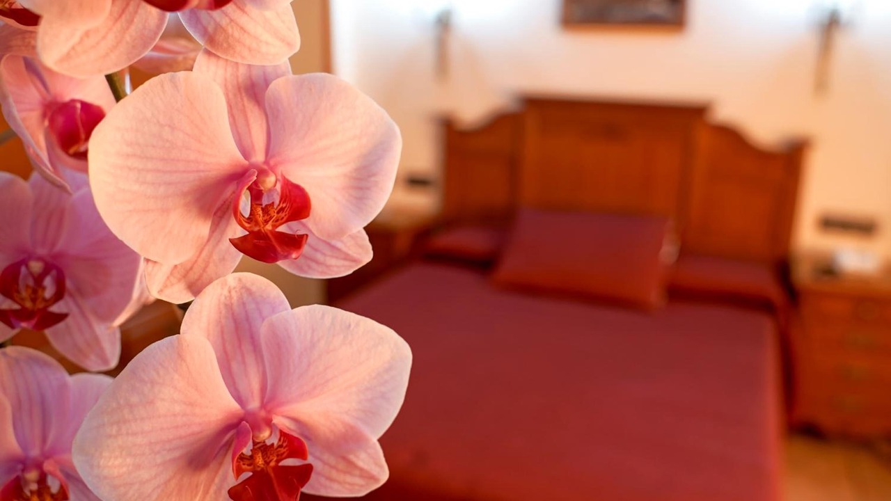 Photo of Bedroom in Santa Elena