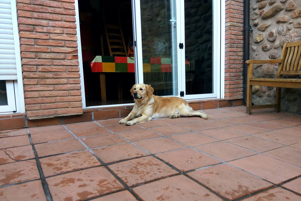 Photo of Patio Balcony in Sotes