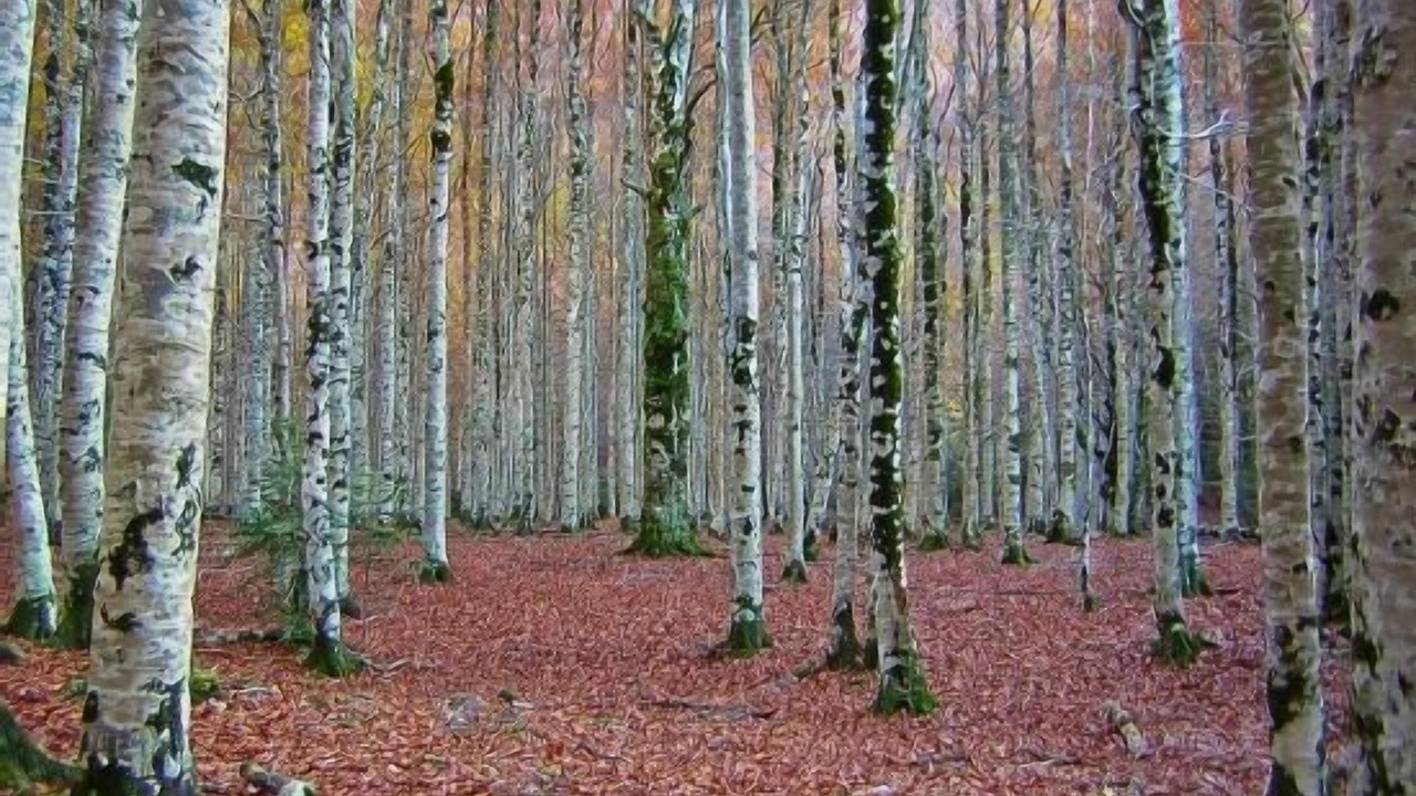 Photo of Outdoor in Sigueruelo