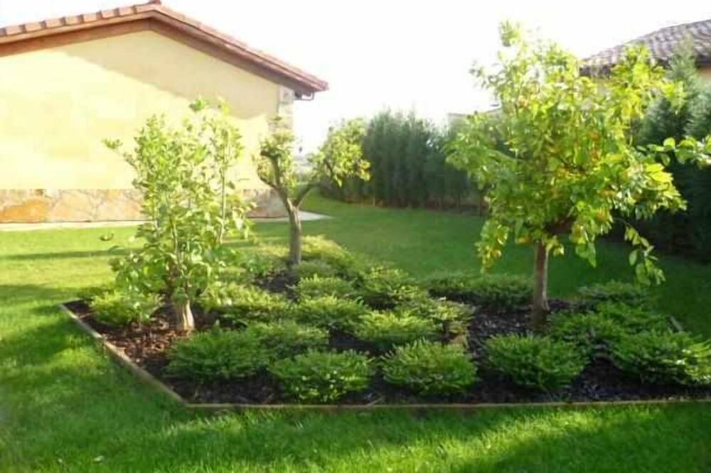 Photo of Outdoor in Villaviciosa