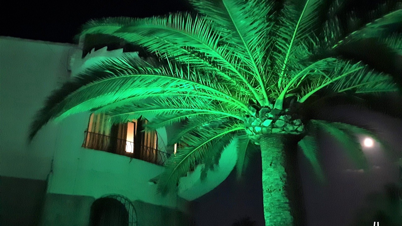 Photo of Outdoor in Fustera