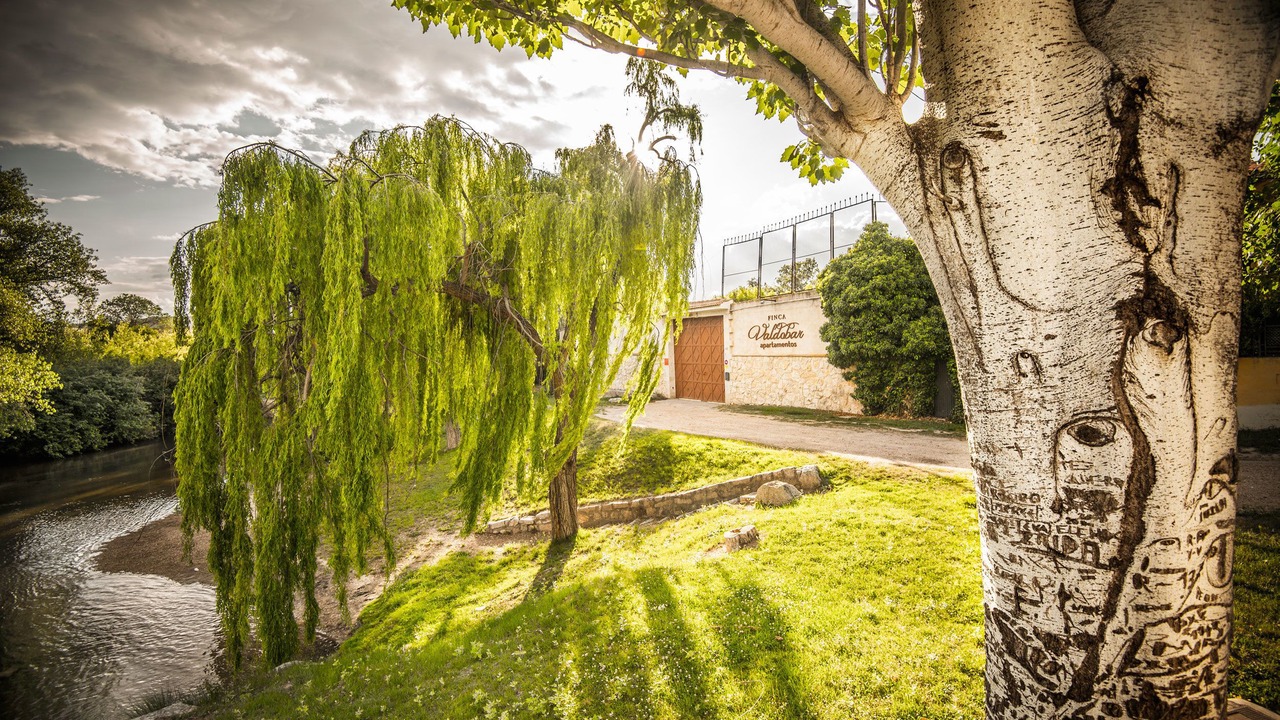 Photo of Outdoor in Penafiel