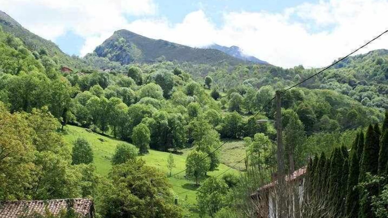 Photo of Others in Sellano