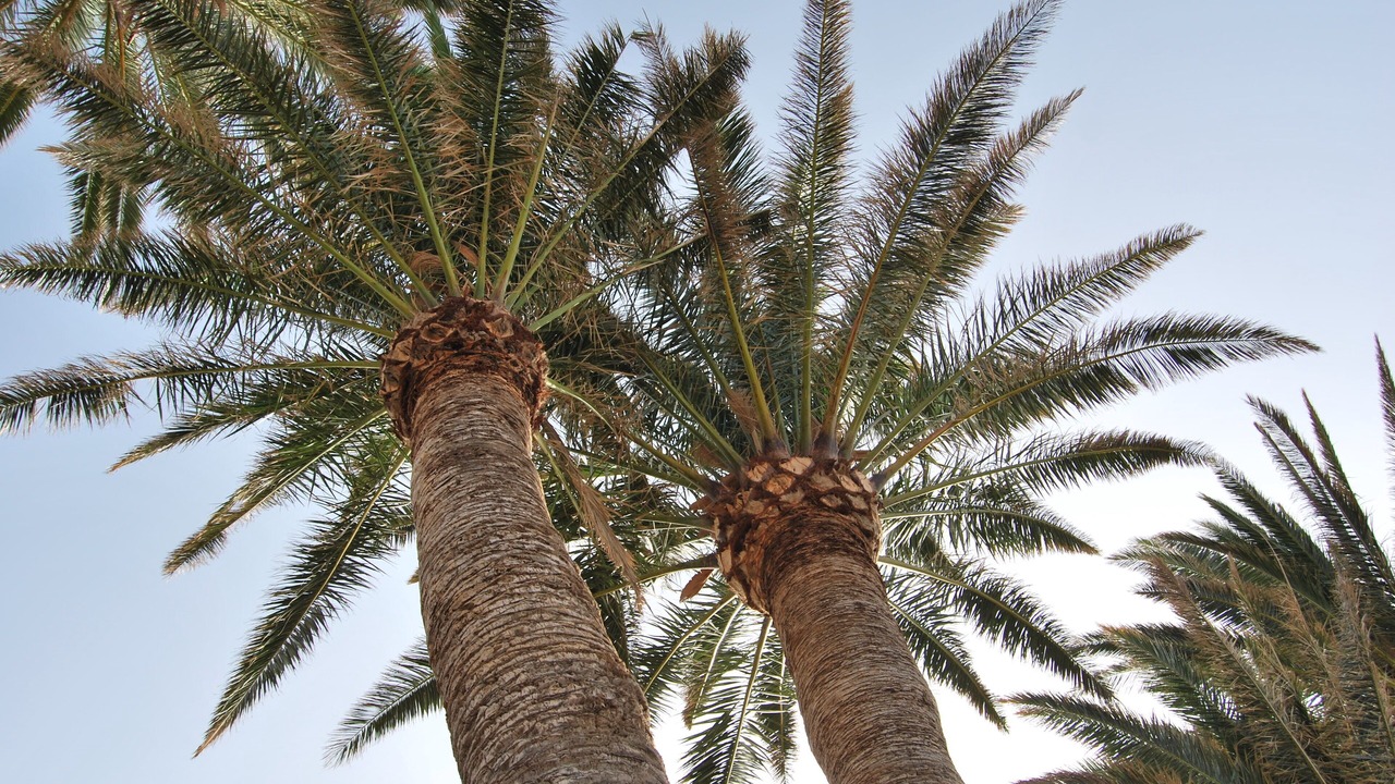 Photo of Outdoor in San Sebastian de la Gomera
