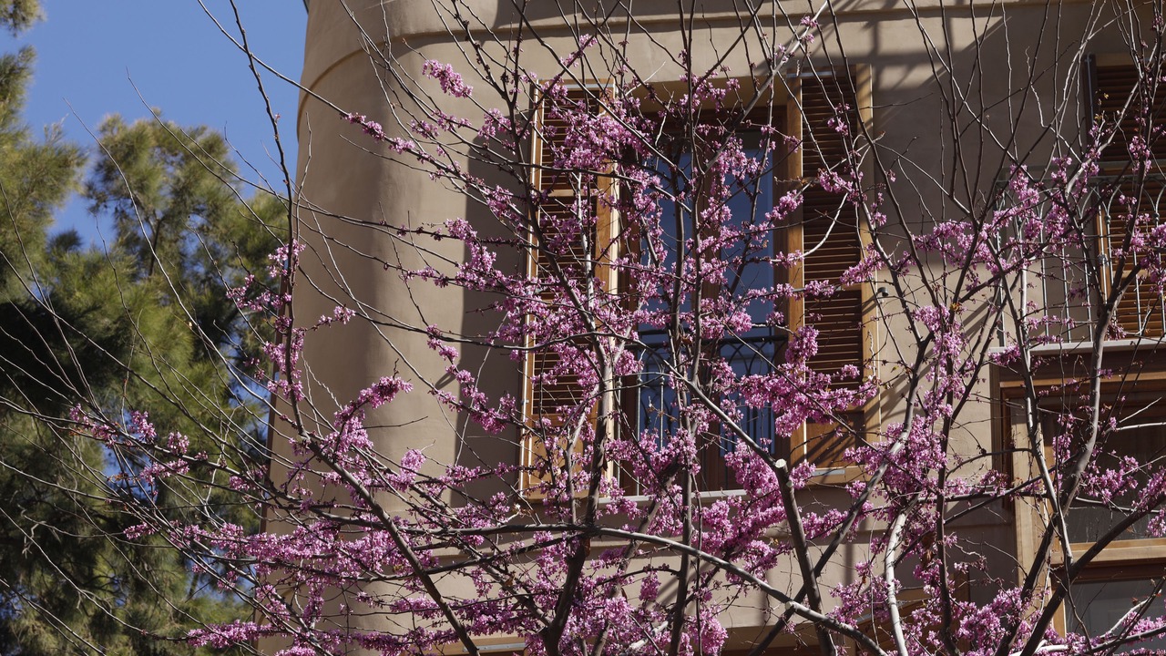Photo of Patio Balcony in Old Town