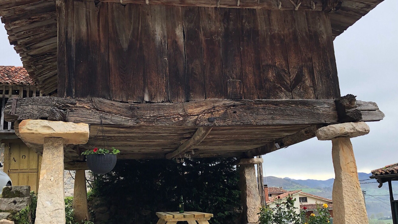 Photo of Outdoor in Nieda