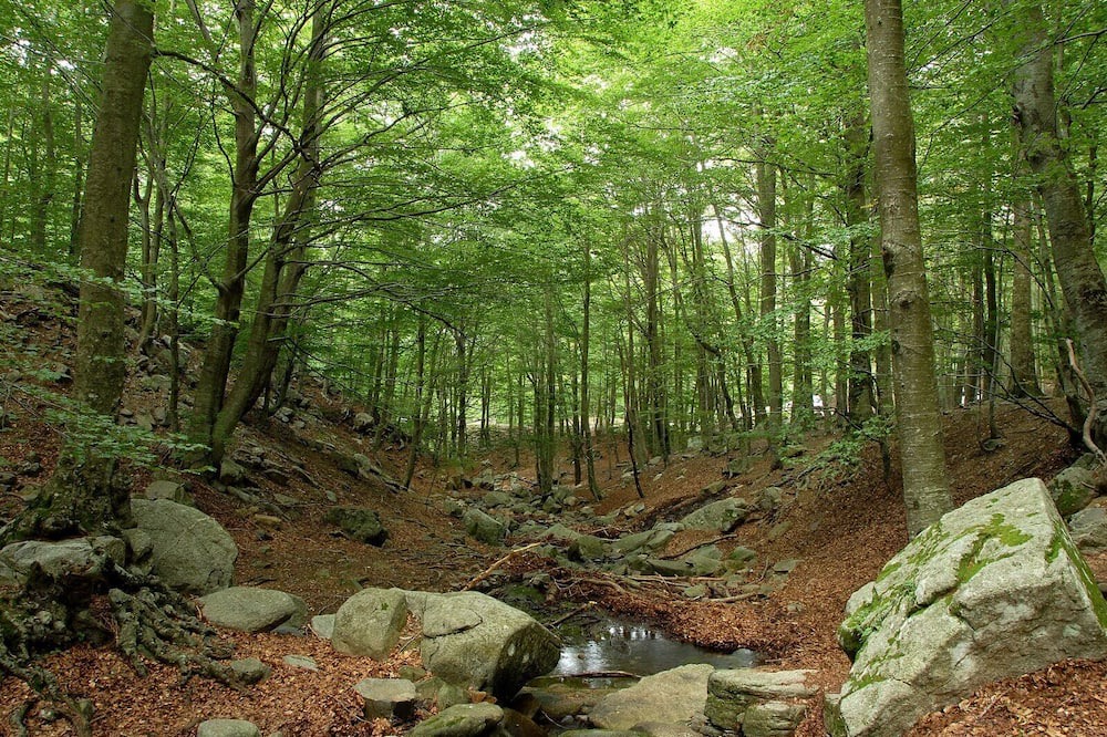 Photo of Outdoor in Gualba de Dalt