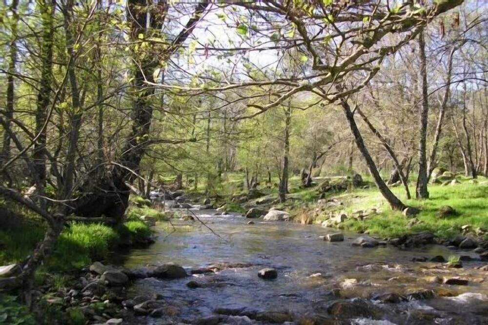Photo of Outdoor in Navaluenga