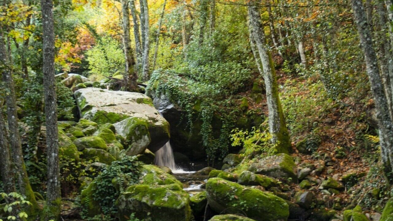 Photo of Outdoor in Mogarraz