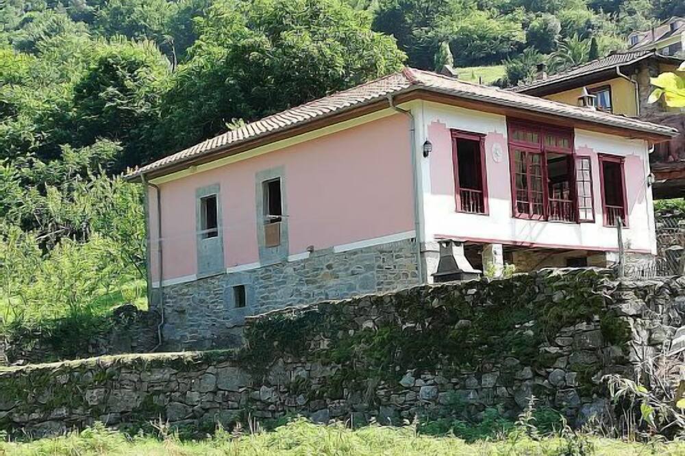 Photo of Outdoor in Vigana
