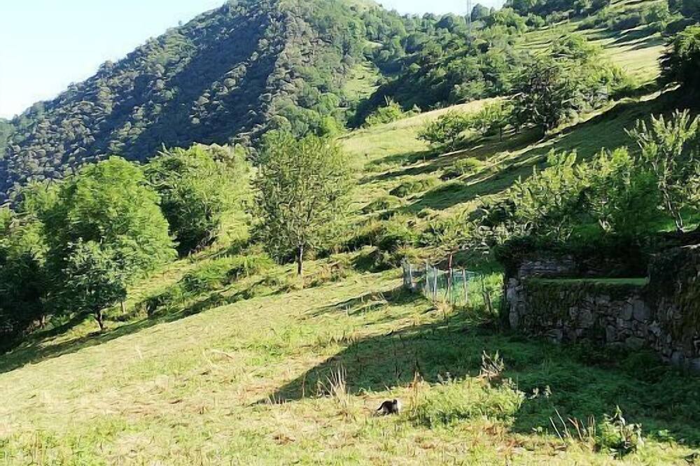 Photo of Outdoor in Vigana
