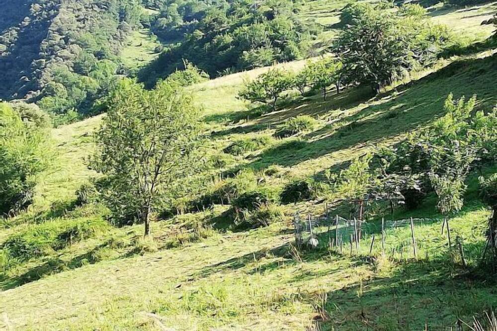 Photo of Outdoor in Vigana