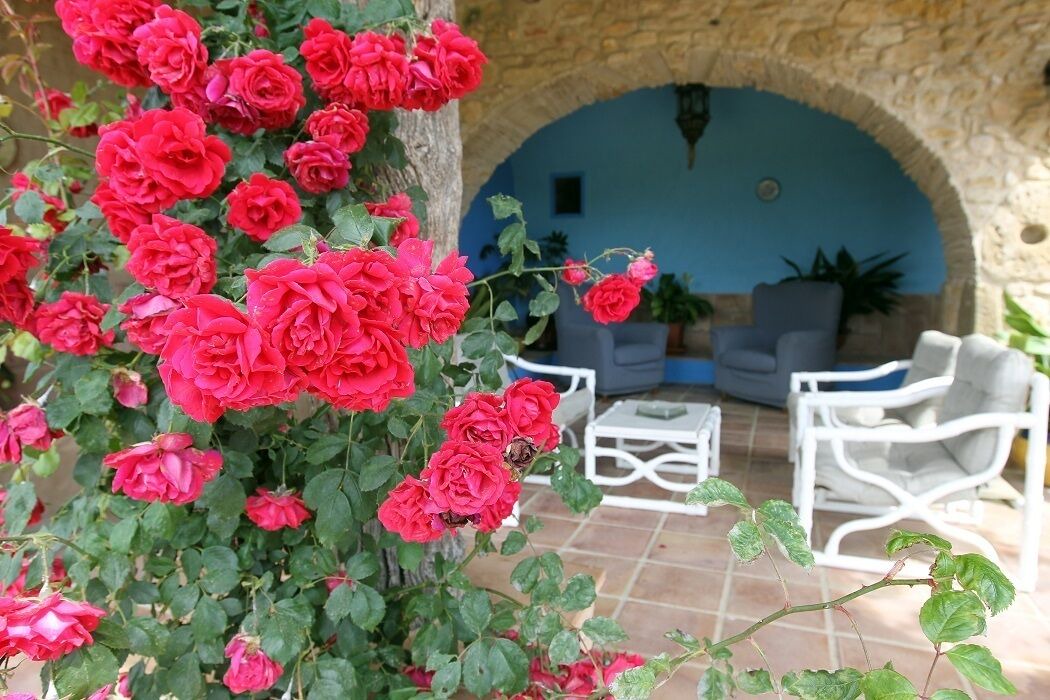 Photo of Patio Balcony in Llampaies