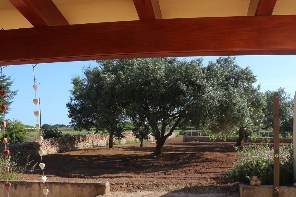 Photo of Patio Balcony in Pilar de la Mola
