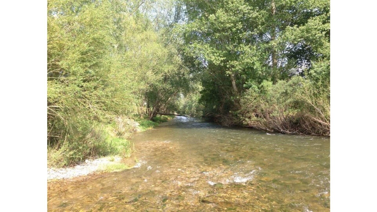 Photo of Outdoor in Sant Miquel de Fluvia