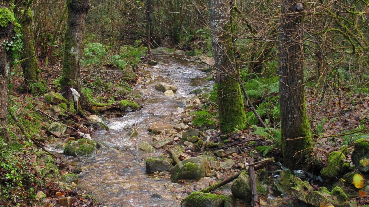 Photo of Outdoor in Penamellera Alta
