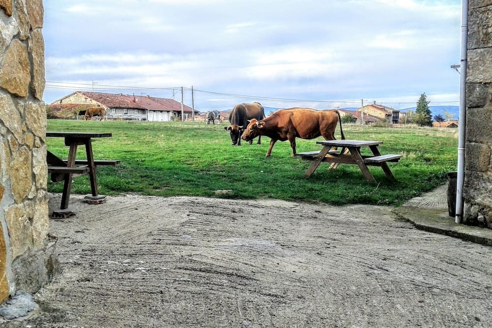 Photo of Outdoor in Santa Gadea