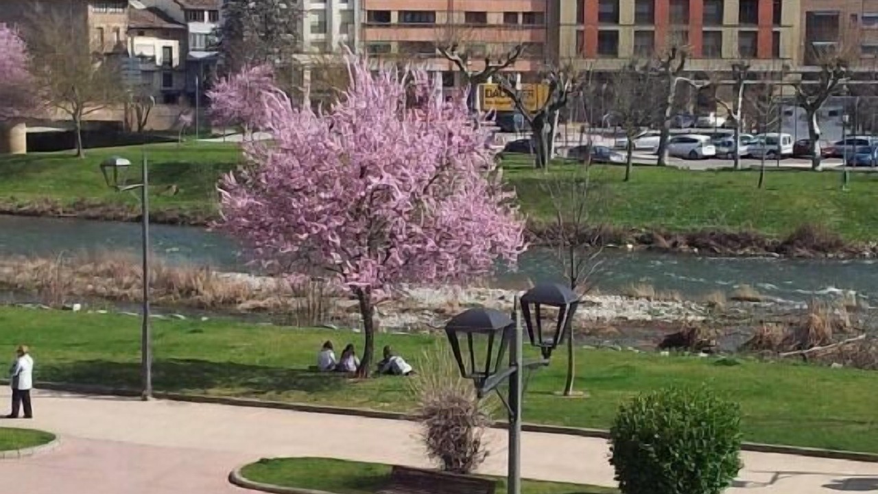Photo of Others in Najera