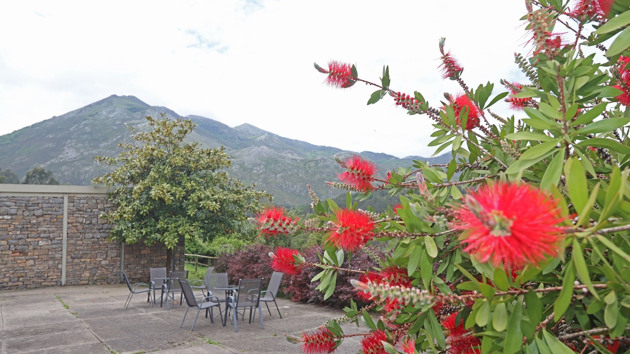 Photo of Patio Balcony in Caravia