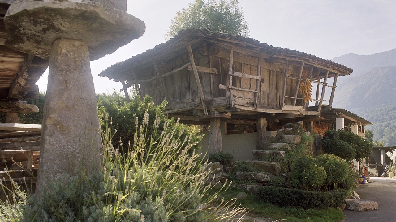 Photo of Outdoor in Caravia