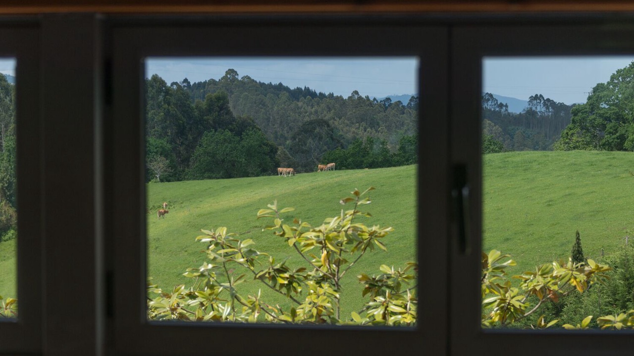 Photo of Outdoor in Caravia