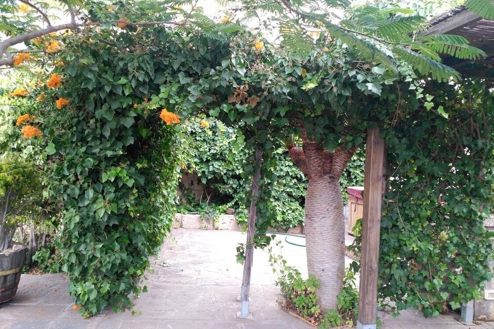 Photo of Outdoor in Los Gavilanes