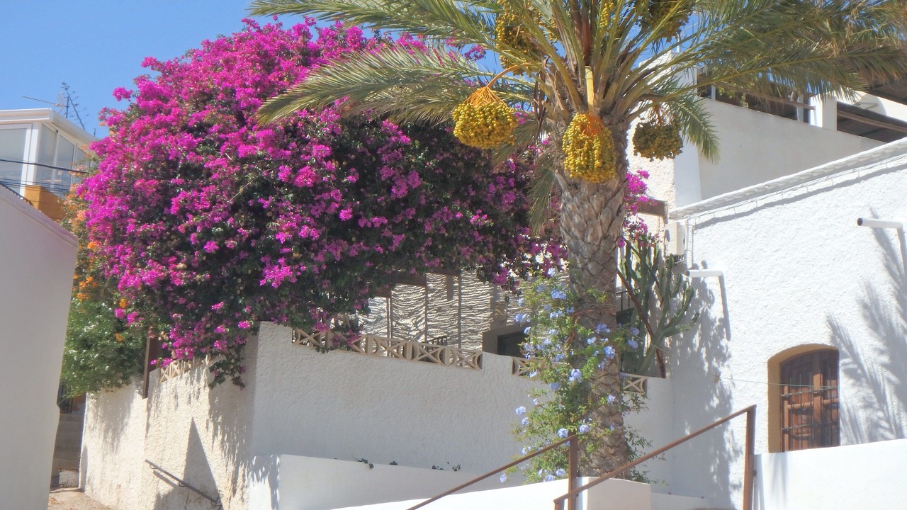 Photo of Outdoor in El Pozo de los Frailes