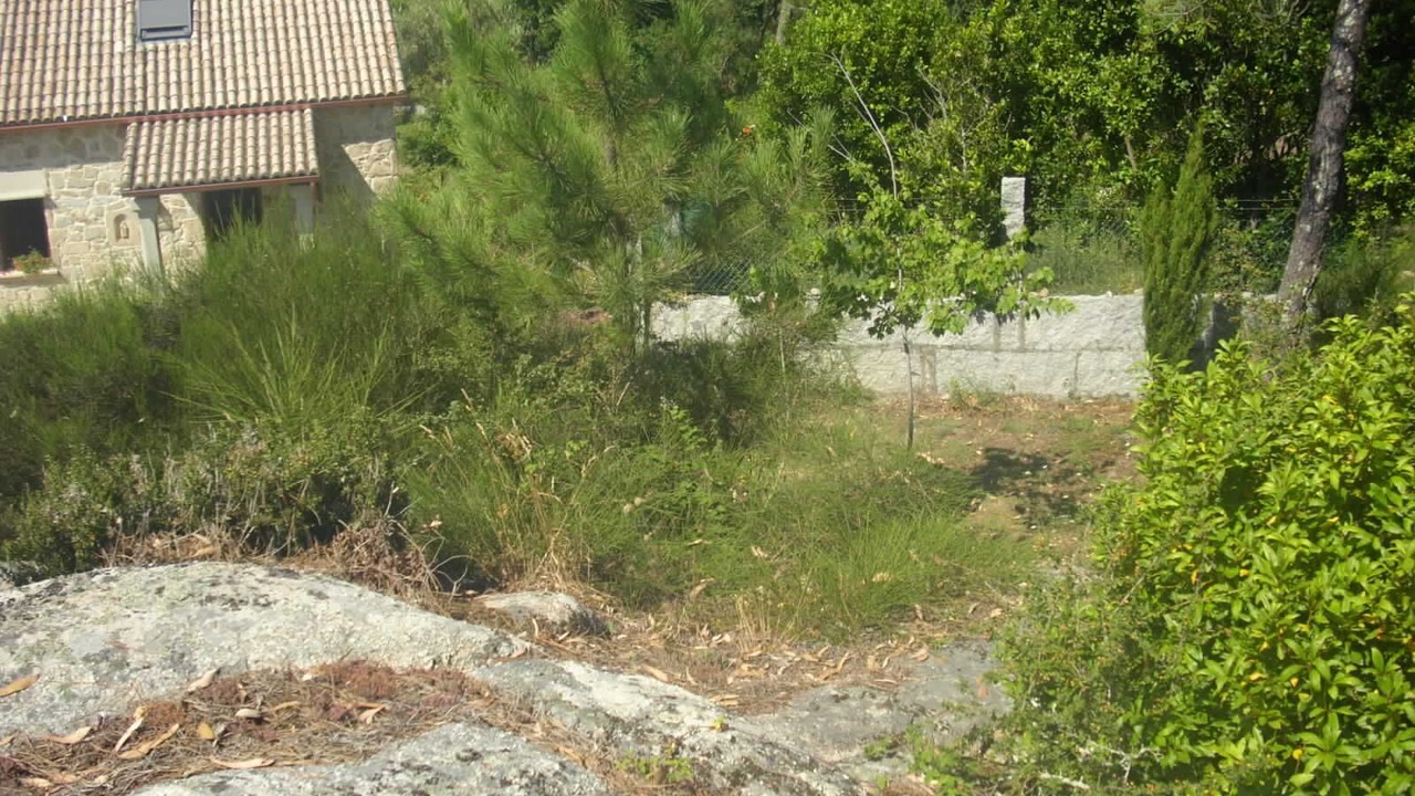 Photo of Outdoor in Aguino