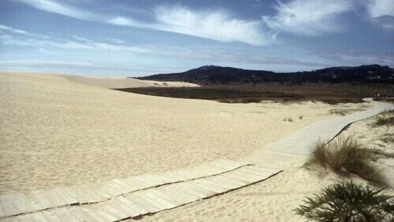 Photo of Others in Aguino
