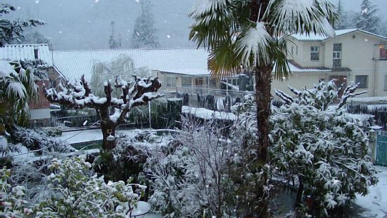 Photo of Outdoor in Arbucies