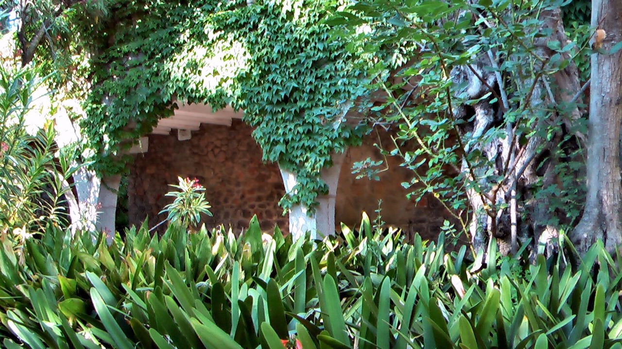 Photo of Outdoor in Puerto de Soller