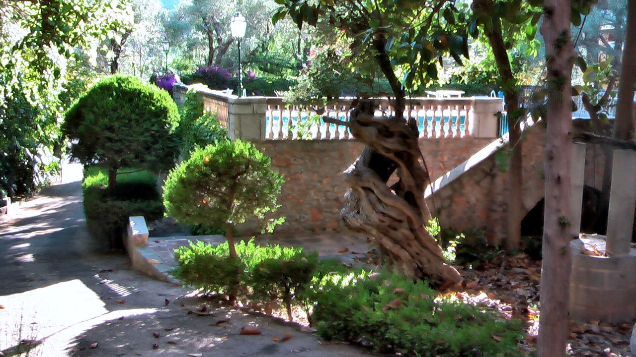 Photo of Outdoor in Puerto de Soller