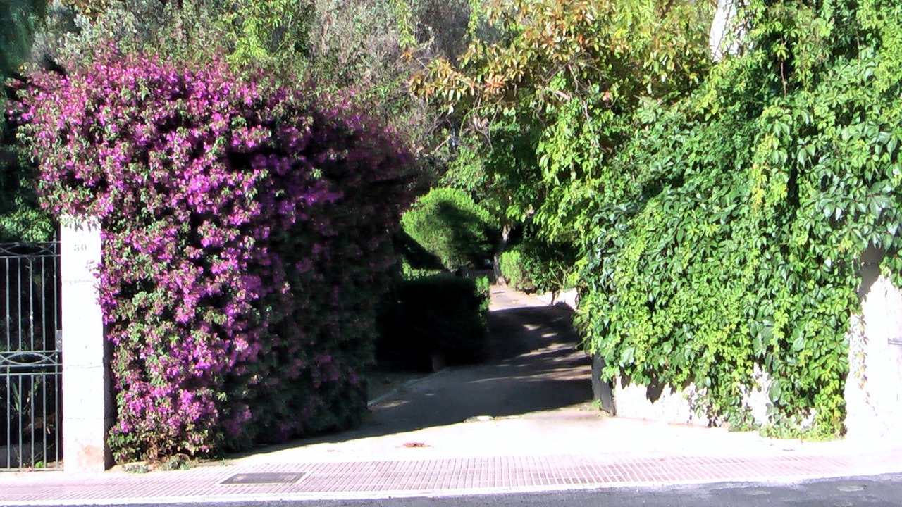 Photo of Outdoor in Puerto de Soller