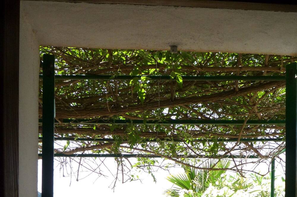 Photo of Patio Balcony in Galilea