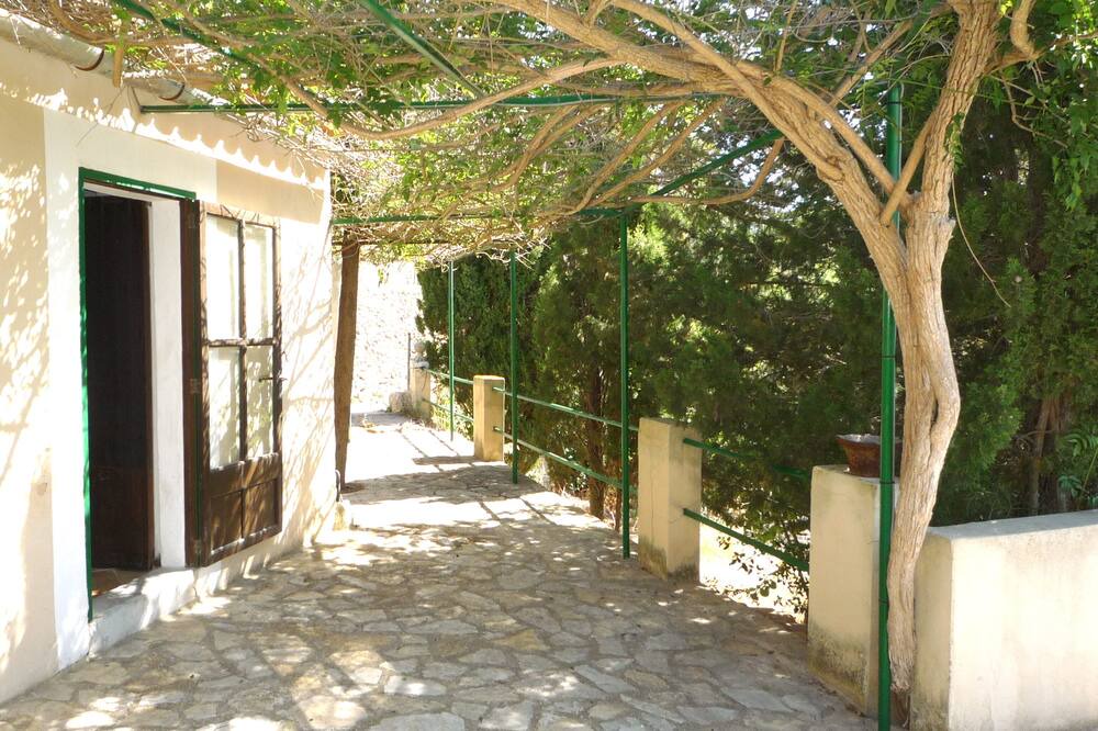 Photo of Outdoor in Galilea
