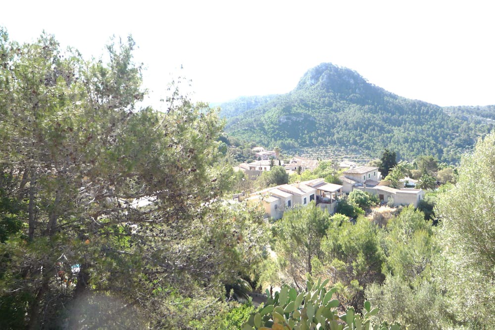 Photo of Others in Galilea