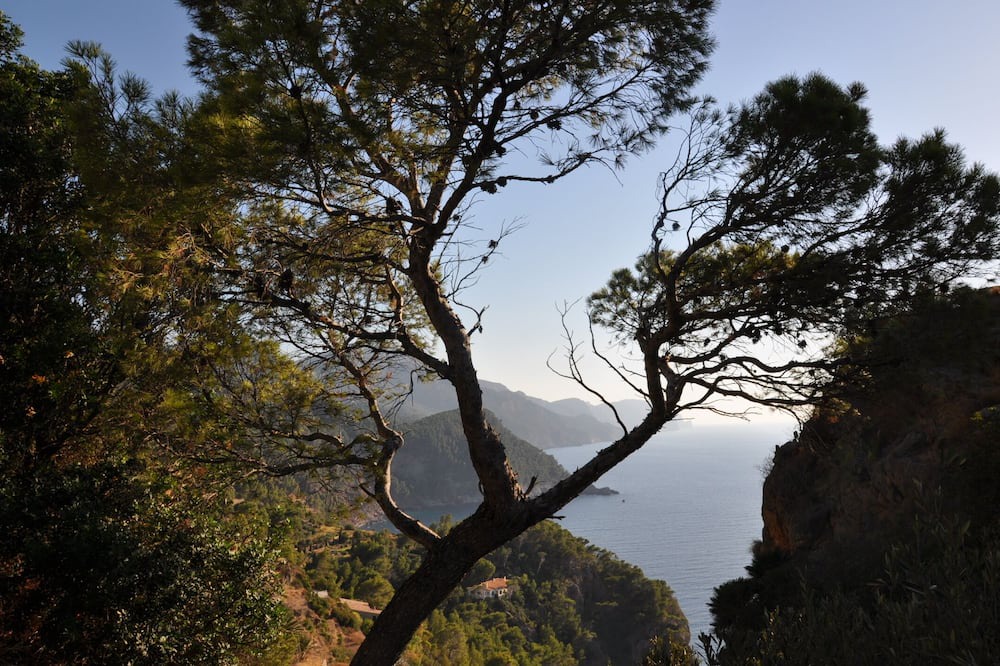Photo of Outdoor in El Molinar