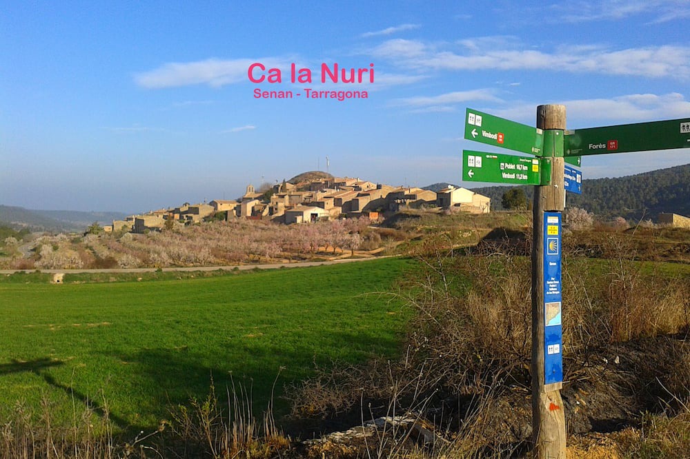 Photo of Outdoor in Senan