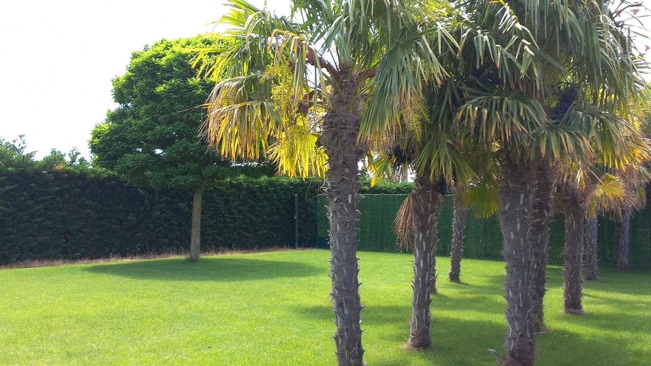Photo of Outdoor in Casalarreina