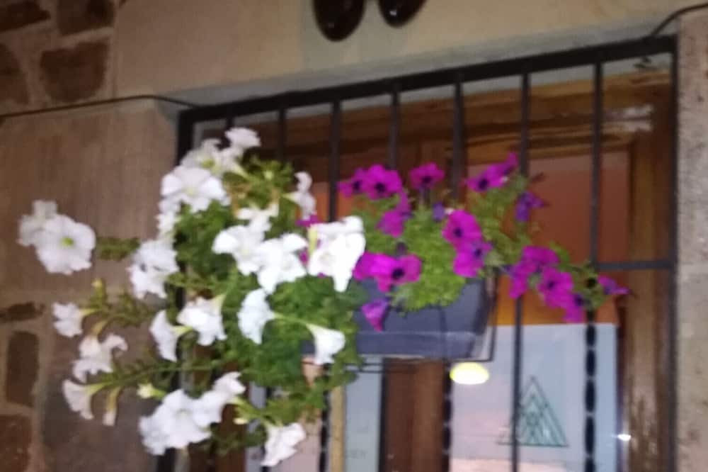 Photo of Outdoor in Vega de Liebana