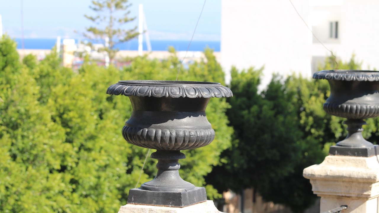 Photo of Outdoor in El Terreno