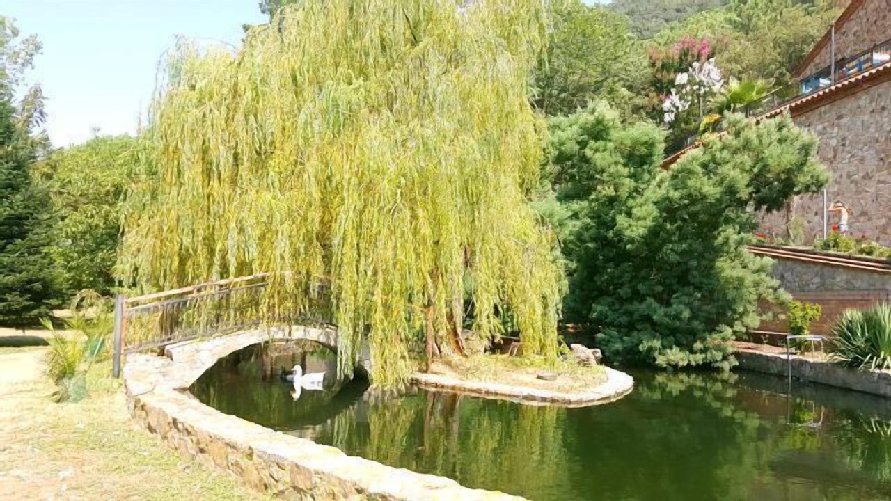 Photo of Outdoor in Arbucies