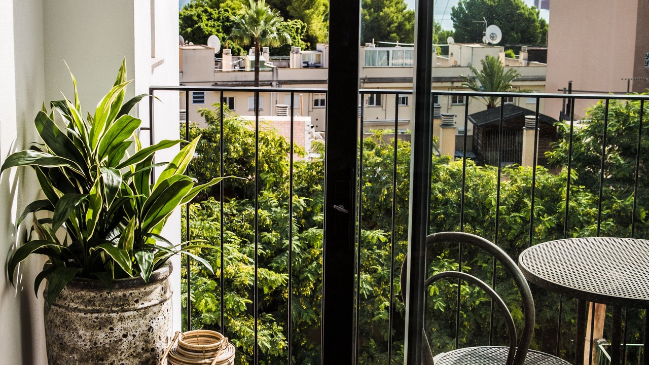 Photo of Bedroom in El Terreno