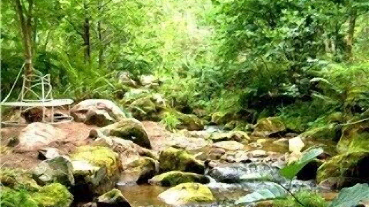 Photo of Outdoor in Pilona