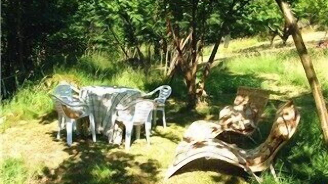 Photo of Others in Pilona