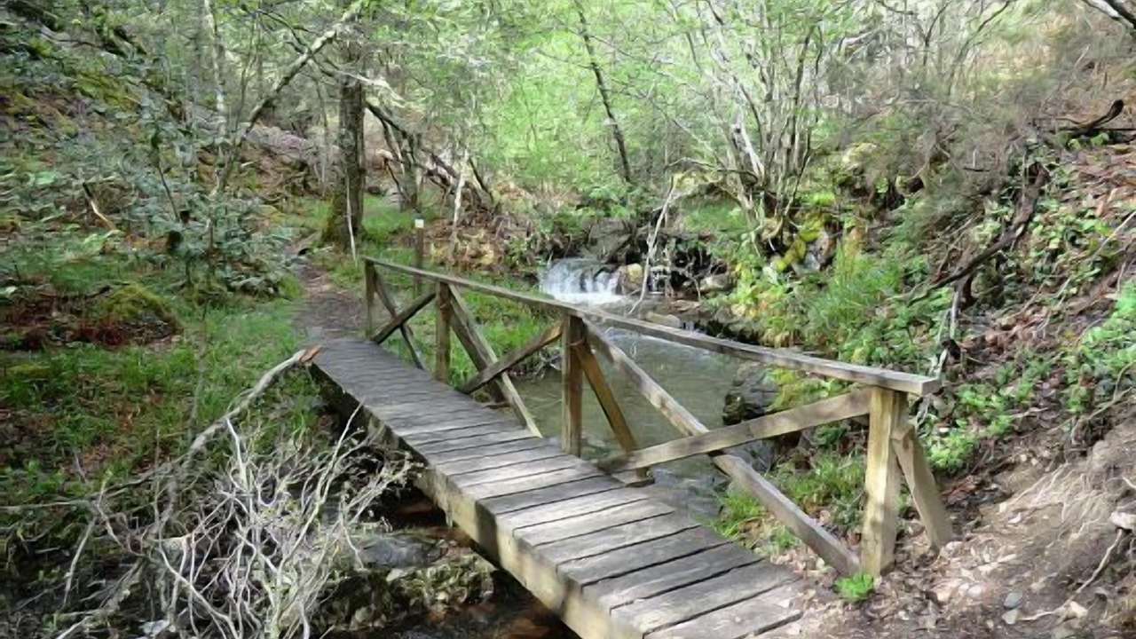 Photo of Outdoor in Robledo de las Traviesas