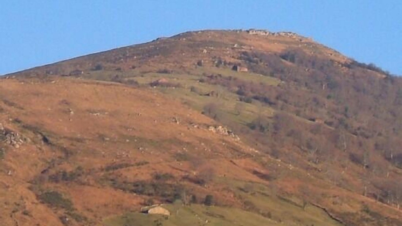 Photo of Others in Celis