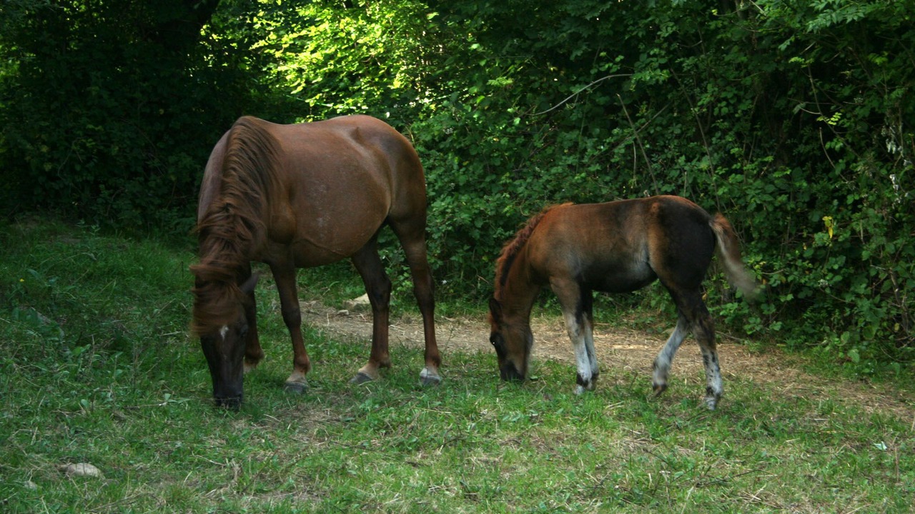Photo of Outdoor in Quiros